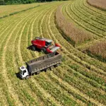 Indicador da agropecuária de São Paulo avançou 0,9% em maio de 2025 em comparação com o mesmo mês do ano passado