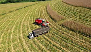Indicador da agropecuária de São Paulo avançou 0,9% em maio de 2025 em comparação com o mesmo mês do ano passado