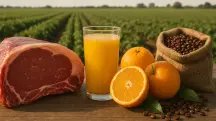 Em A Força do Agro desta quarta-feira, 6, o espectador vai entender como o agro paulista alcançou esse superávit nas exportações do primeiro semestre do ano | Foto: Divulgação/Oeste | Imagem criada com o auxílio de inteligência artificial