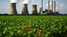 O agro é responsável por mais de 25% da economia e o Plano Clima pode comprometer o PIB nacional | Foto: Divulgação/Oeste | Imagem criada com o auxílio de inteligência artificial Agropecuária
