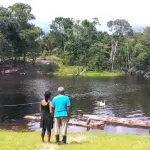 Proximidade de florestas com núcleos habitacionais favorece expansão da malária, indica estudo | Foto: Reprodução/TV Brasil