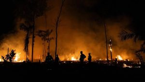 Queimadas seguem em ritmo crescente na Amazônia, apesar do discurso contrário do governo petista | Foto: Reprodução/Redes sociais