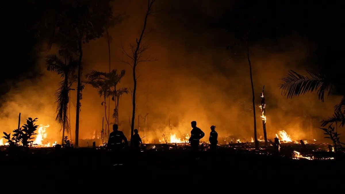 Queimadas seguem em ritmo crescente na Amazônia, apesar do discurso contrário do governo petista | Foto: Reprodução/Redes sociais