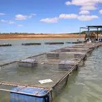 Aquicultura