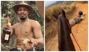 Cavalo Bananal