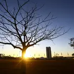Indicação de tempo seco gera sinais de alerta para queimadas em razão da baixa umidade no ar | Foto: Marcelo Camargo/Agência Brasil