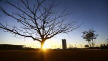 Indicação de tempo seco gera sinais de alerta para queimadas em razão da baixa umidade no ar | Foto: Marcelo Camargo/Agência Brasil