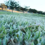 Geada em Campo Mourão, na região centro-oeste do Paraná, com temperaturas oscilando entre 8° C e 10° C - 31/7/2025 | Foto: Dirceu Portugal/FotoArena/Estadão Conteúdo