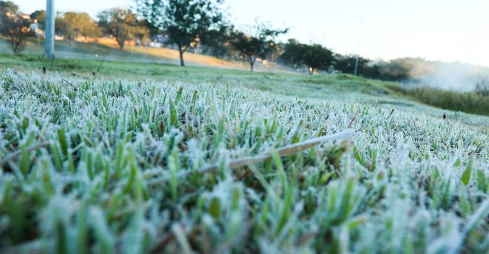 Geada em Campo Mourão, na região centro-oeste do Paraná, com temperaturas oscilando entre 8° C e 10° C - 31/7/2025 | Foto: Dirceu Portugal/FotoArena/Estadão Conteúdo