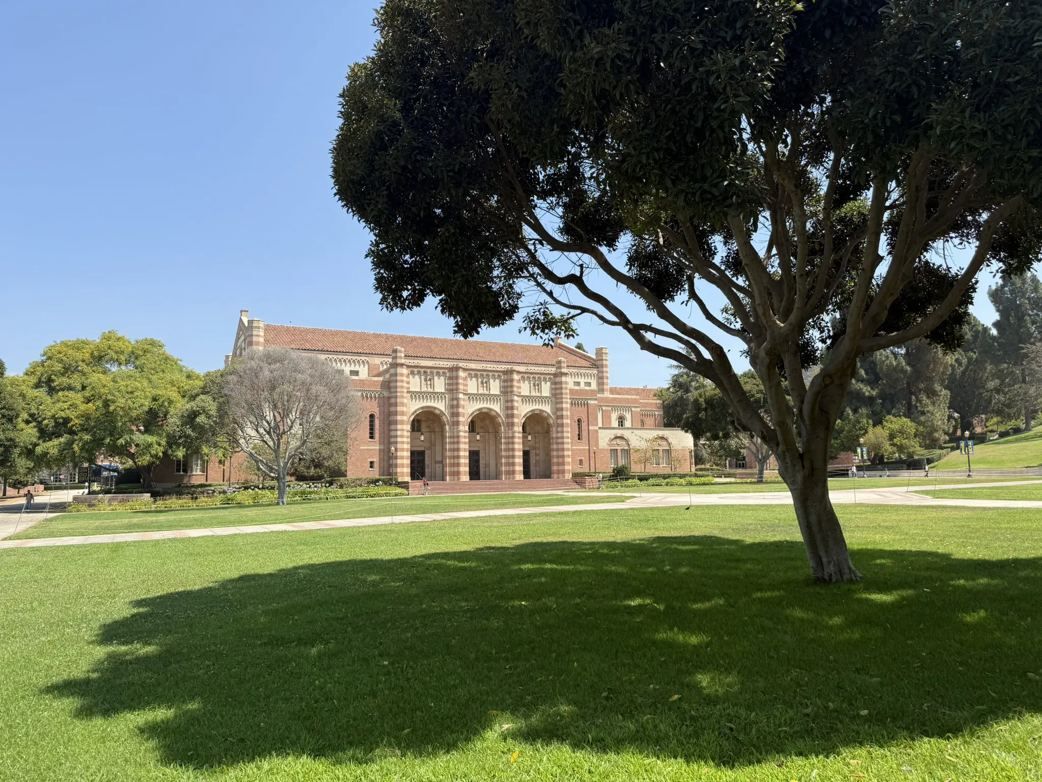 Trump suspende repasse à UCLA por antissemitismo