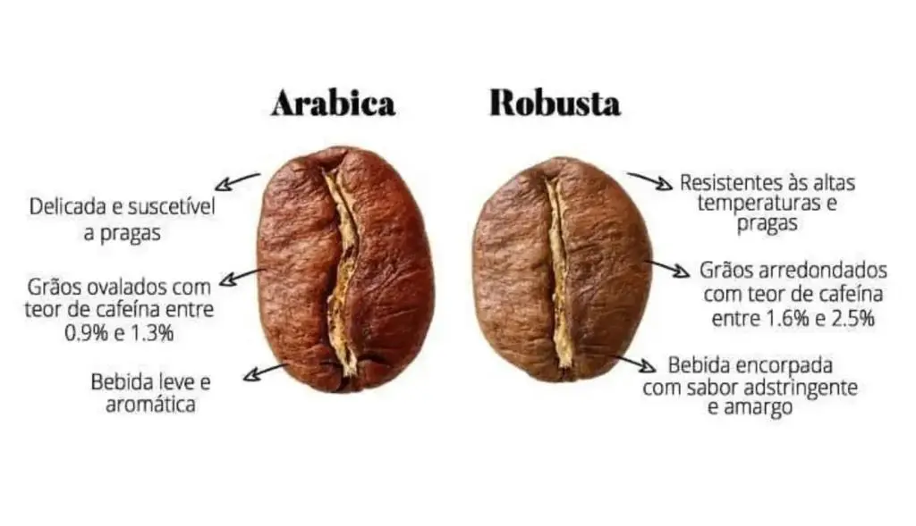 café grãos