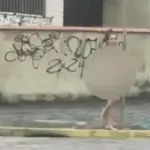 Antes da prisão, a mulher, que não teve o nome identificado, teria sido vista expondo as partes íntimas para motoristas perto da praia na cidade de Itanhaém (SP) | Foto: Reprodução/Redes sociais