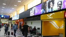 Voepass relatório Câmara Deputados