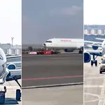 colisões pássaros acidente voo avião espanha madri