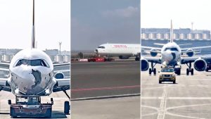colisões pássaros acidente voo avião espanha madri