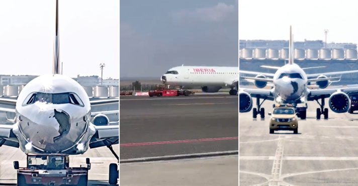 colisões pássaros acidente voo avião espanha madri