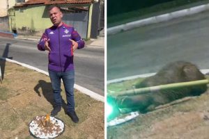 Capivaras são frequentemente encontradas às margens do Rio Paraíba do Sul, que fica próximo ao local | Foto: Reprodução/Redes sociais