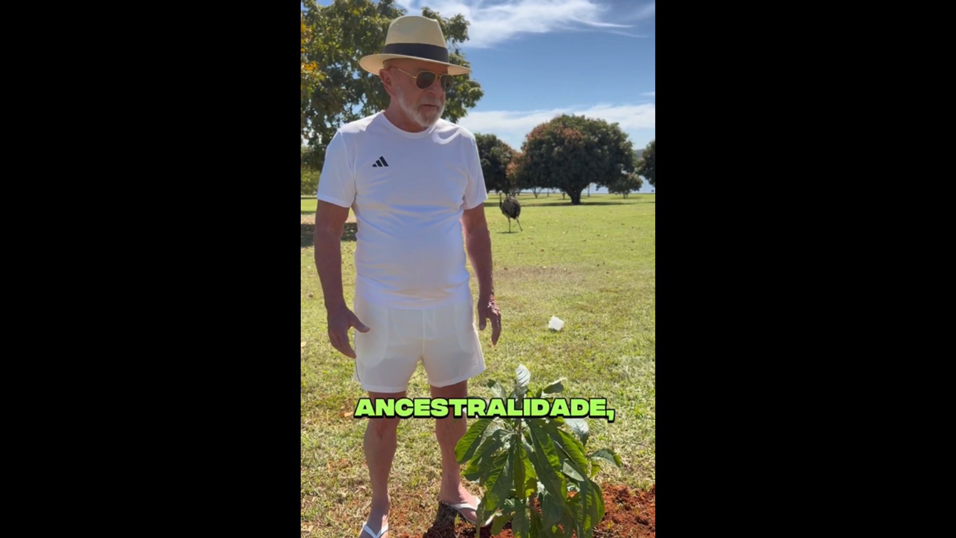 Momento em que o presidente Luiz Inácio Lula da Silva realiza o plantio da árvore