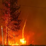 Incêndios florestais | Foto: Reprodução/Getty Images