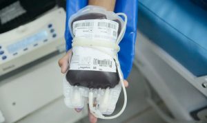 doação sangue stf testemunhas de jeová religião cfm