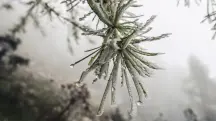 previsão do tempo com geada declínio de temperatura e chuvas intensas e frio