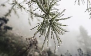 previsão do tempo com geada declínio de temperatura e chuvas intensas e frio
