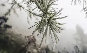 previsão do tempo com geada declínio de temperatura e chuvas intensas e frio