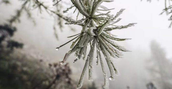 previsão do tempo com geada declínio de temperatura e chuvas intensas e frio