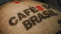 Saco de juta com grãos de café verde brasileiro em Moscou, Rússia | Foto: Max Zvonarev/Shutterstock