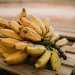 Em A Força do Agro desta quarta-feira, 24, o espectador vai descobrir se as 'mudanças climáticas' podem realmente levar à extinção da banana | Foto: Reprodução/Pexels
