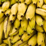 Nos primeiros seis meses do ano, Santa Catarina exportou quase 22 mil toneladas de bananas | Foto: Reprodução/Flickr