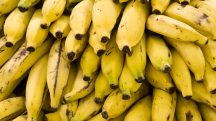 Nos primeiros seis meses do ano, Santa Catarina exportou quase 22 mil toneladas de bananas | Foto: Reprodução/Flickr
