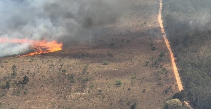 Fogo destrói quase 6% da Floresta Nacional de Brasília