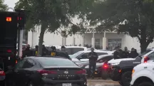 eua ice imigração ataque tiros mortos