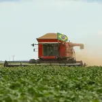 agro brasileiro