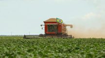 agro brasileiro