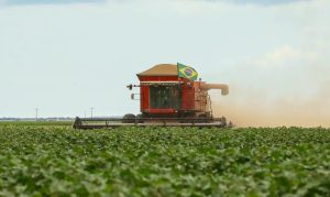 agro brasileiro