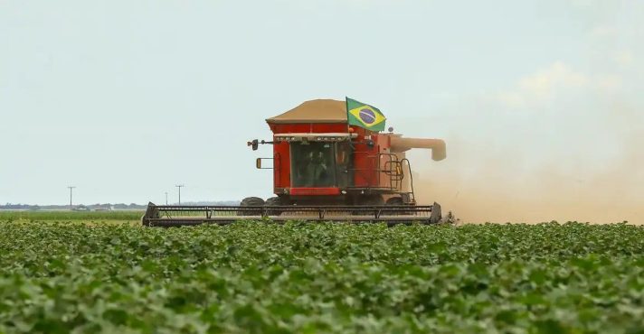 agro brasileiro