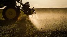 agro brasileiro crédito rural inadimplência