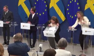 Elisabet Lann desmaiou em seu primeiro dia de trabalho à frente da pasta da Saúde