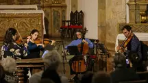 músicos