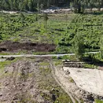 Pântano Logsjömossen, fonte da pesquisa de arqueólogos suecos | Reprodução/Twitter/X