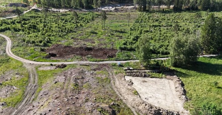 Pântano Logsjömossen, fonte da pesquisa de arqueólogos suecos | Reprodução/Twitter/X
