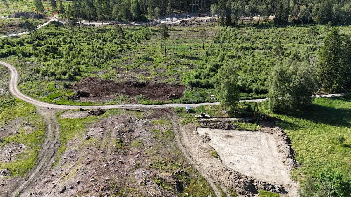 Pântano Logsjömossen, fonte da pesquisa de arqueólogos suecos | Reprodução/Twitter/X