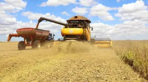produção grãos soja milhao arroz algodão