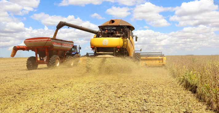 produção grãos soja milhao arroz algodão