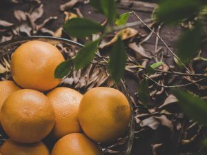 O pedido busca impedir o descarte de milhares de toneladas de laranja no Rio Grande do Sul, agravado pela falta de compradores e queda de preços | Foto: Jcomp/Freepik