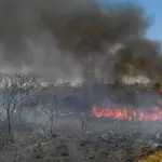 Seca e queimada no Cerrado, para ilustrar nota sobre baixa umidade em regiões do Brasil, segundo o Inmet