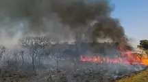 Seca e queimada no Cerrado, para ilustrar nota sobre baixa umidade em regiões do Brasil, segundo o Inmet