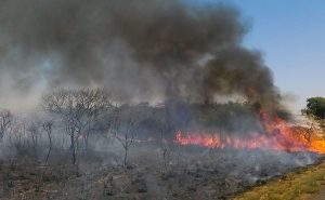 Seca e queimada no Cerrado, para ilustrar nota sobre baixa umidade em regiões do Brasil, segundo o Inmet